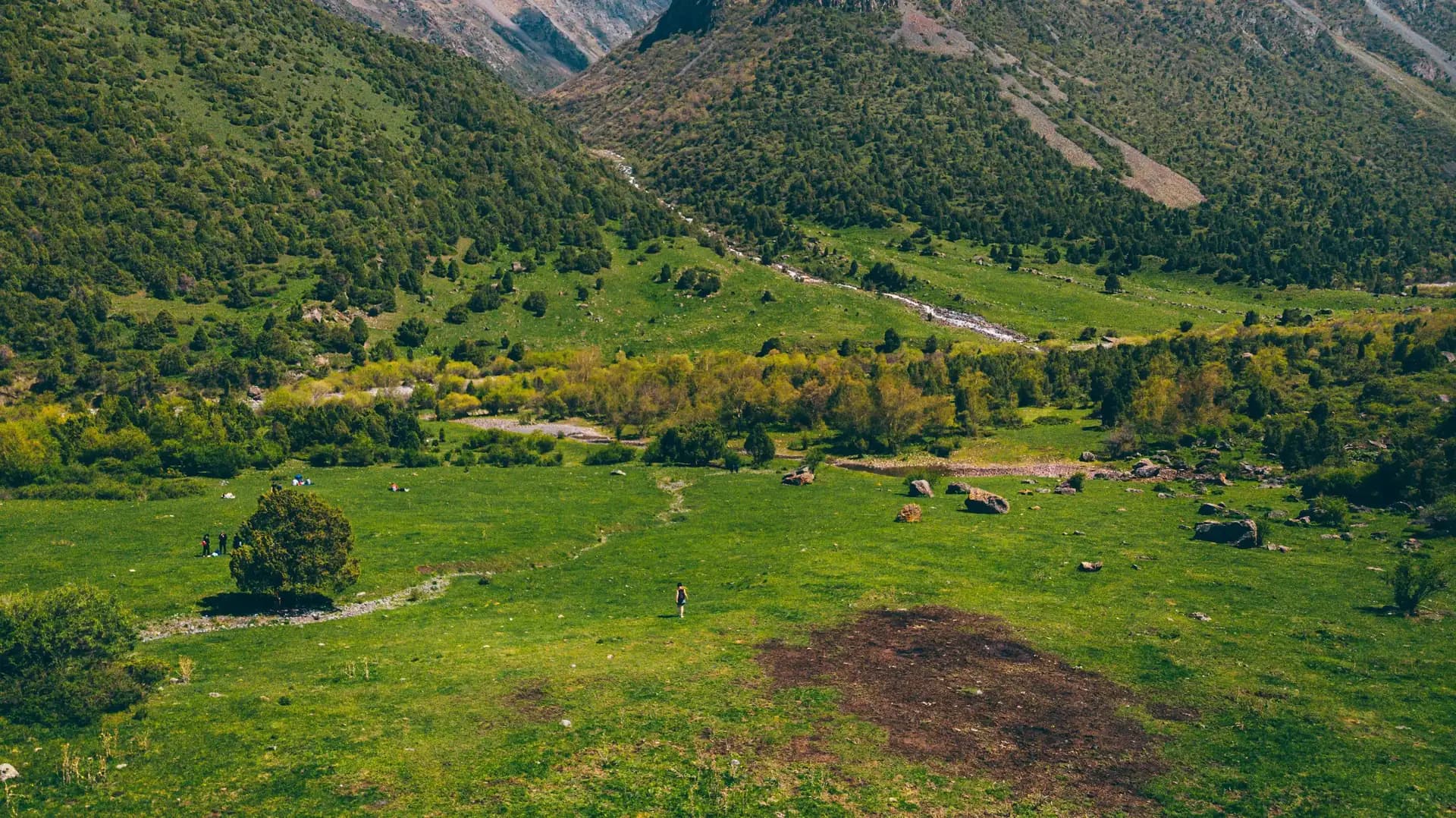 Untouched Nature